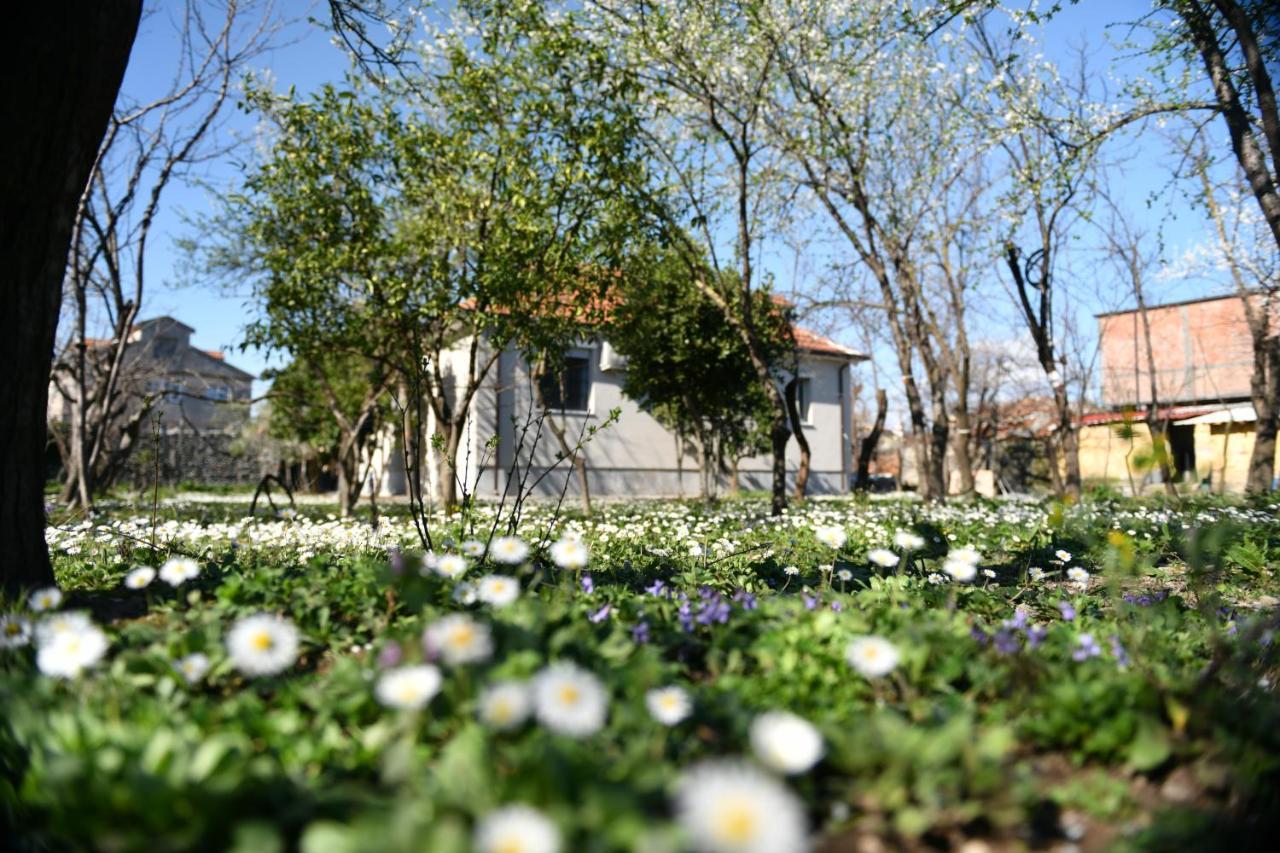 Nicolaus Hidden Gem Villa Shkodër Exteriör bild
