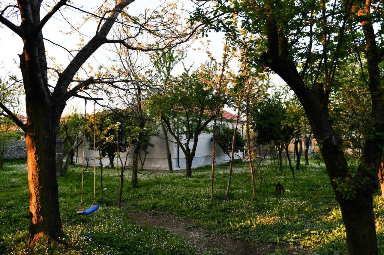 Nicolaus Hidden Gem Villa Shkodër Exteriör bild