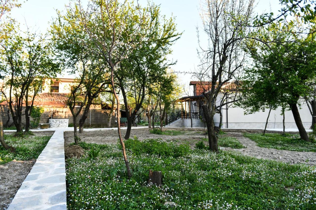 Nicolaus Hidden Gem Villa Shkodër Exteriör bild