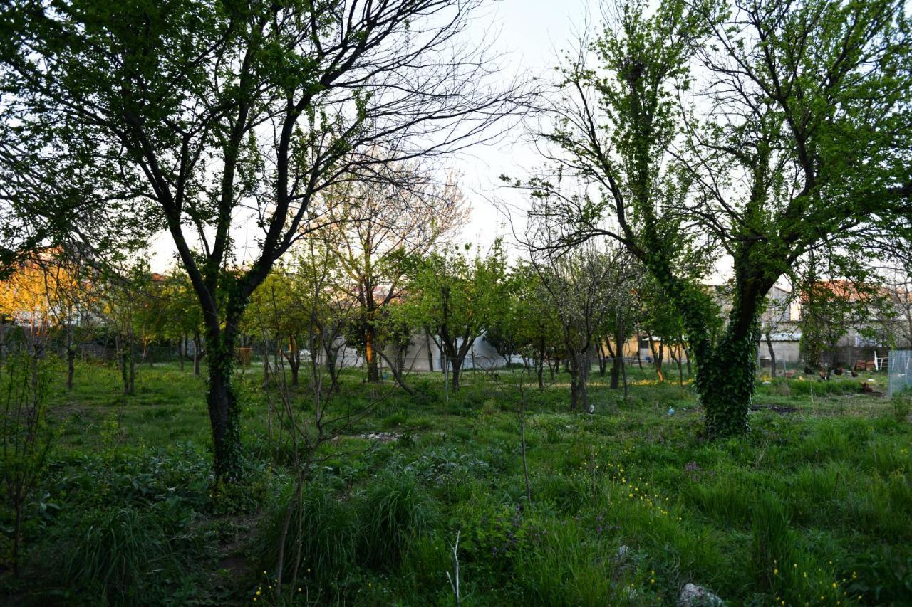 Nicolaus Hidden Gem Villa Shkodër Exteriör bild