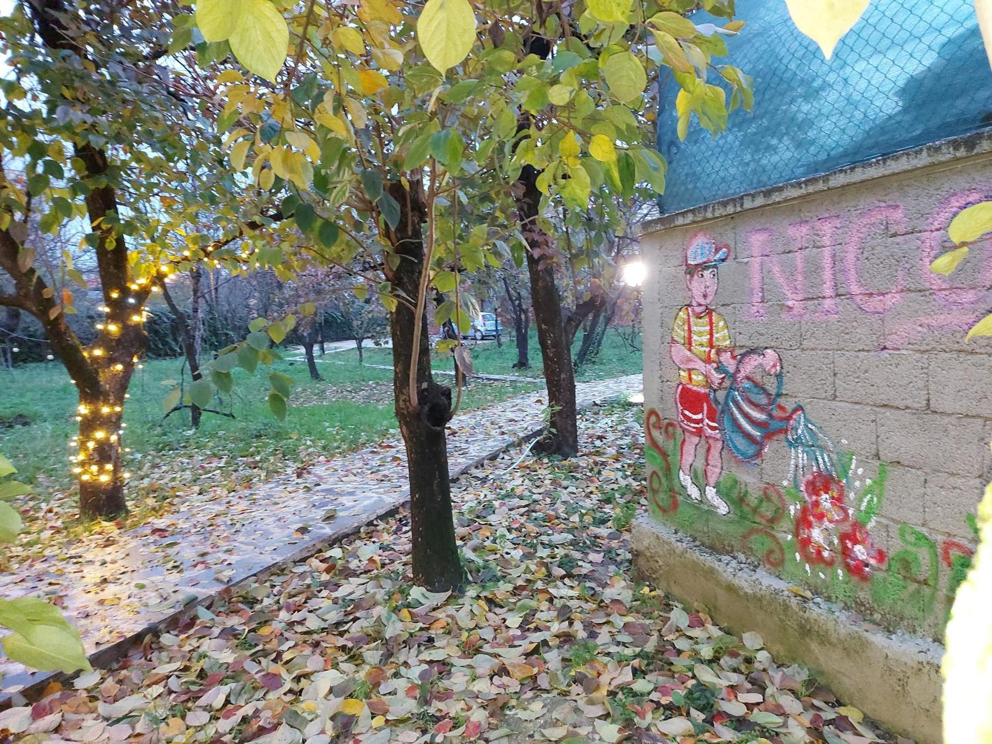 Nicolaus Hidden Gem Villa Shkodër Exteriör bild