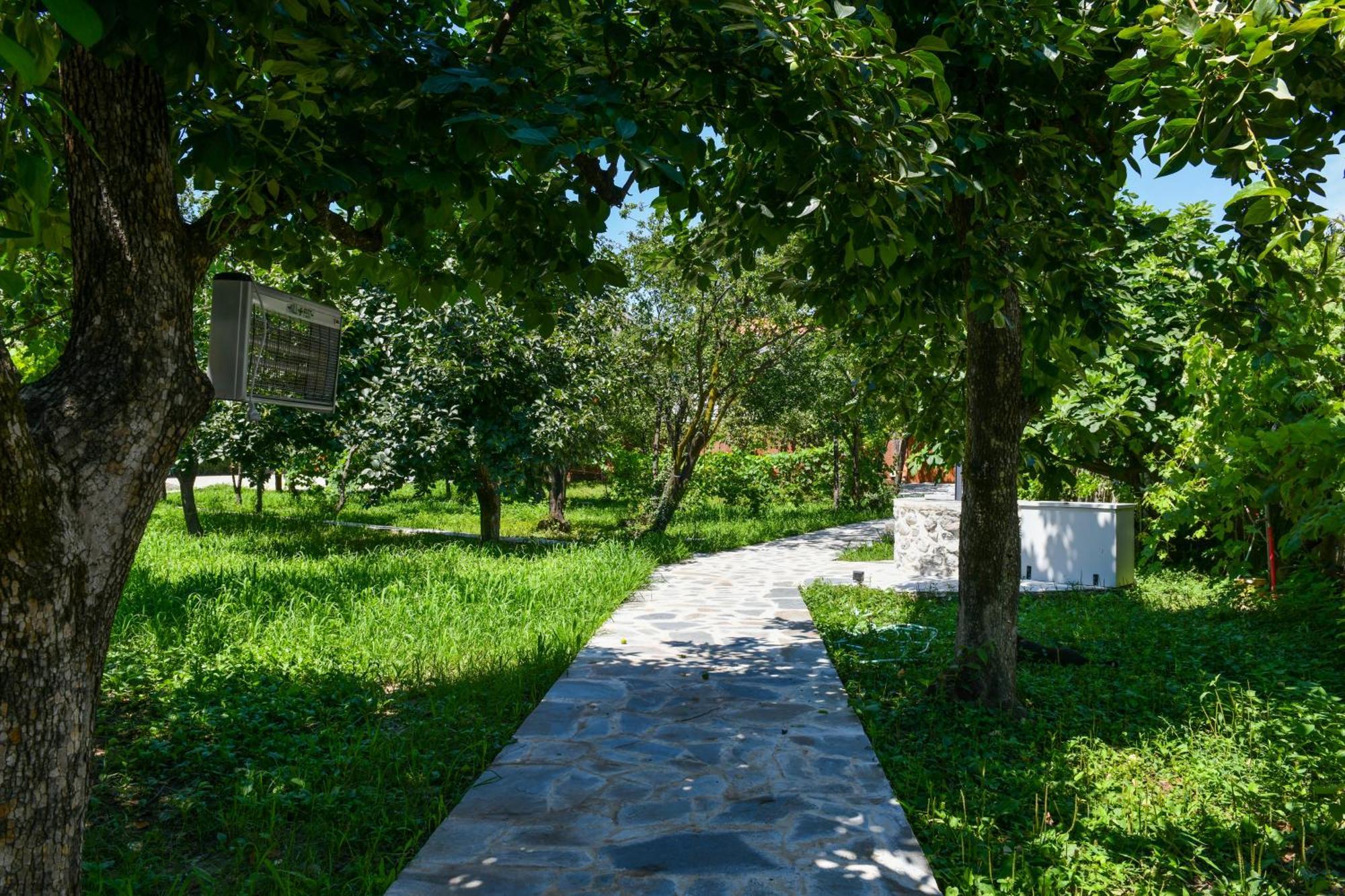 Nicolaus Hidden Gem Villa Shkodër Exteriör bild